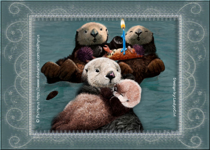 Tierwelten WA 12/2023