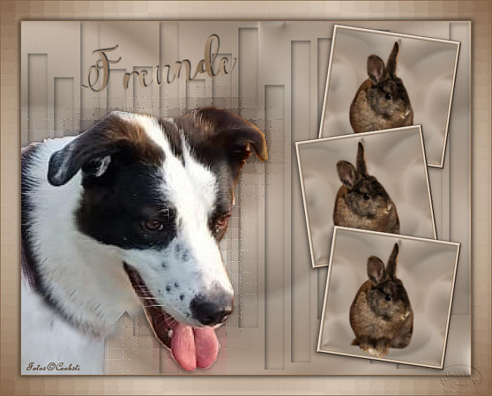 Tutorial Basteln* WA 44/2025