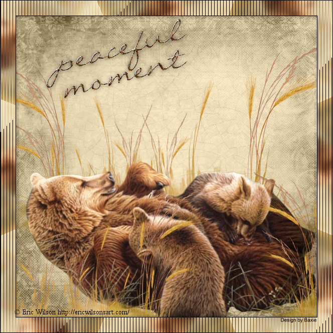 Tierwelten WA 45/2025