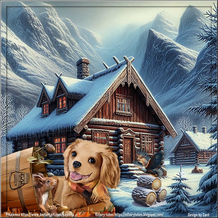 Tierwelten WA 52/2025