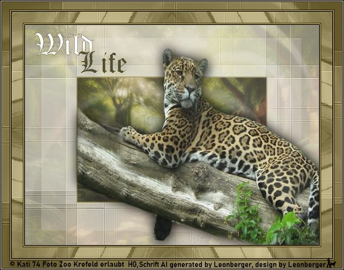 Tierwelten WA 09/2026