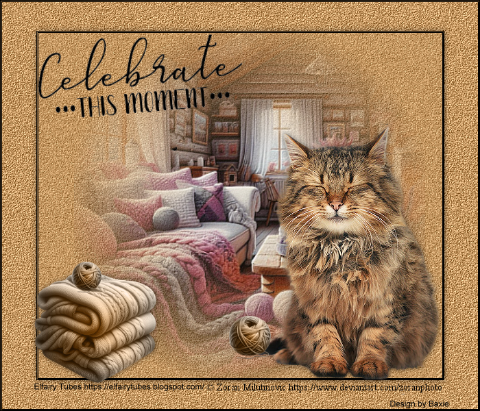 Tierwelten WA 10/2026