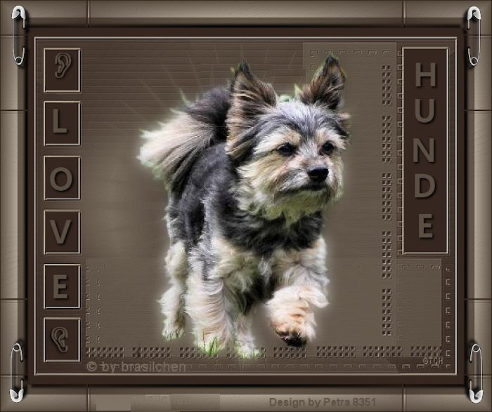 Tierwelten WA 12/2026