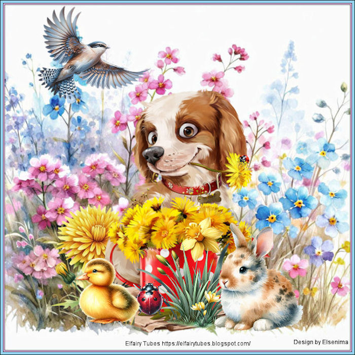 Tierwelten WA 16/2026