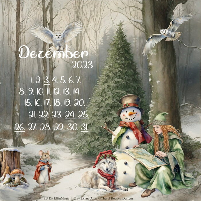 Herausforderung Kalender des Monats Dezember 2023
