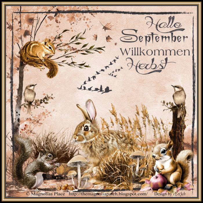  September 2025_Wonderfall by The Magnolia Patch