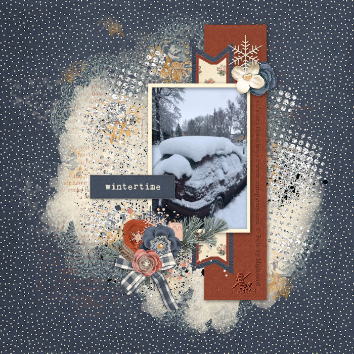 Januar 2026 /  Januar 2026_Minikit "Simple Life" The Curio Pantry