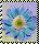 Forum ist ein externer Link Forum ist ein externer Link
