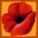 Forum ist ein externer Link