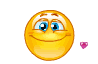 241 241