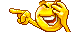 250 250