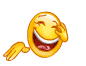 253 253