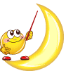 254 254