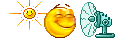 kli17 kli17