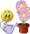 ha30 ha30